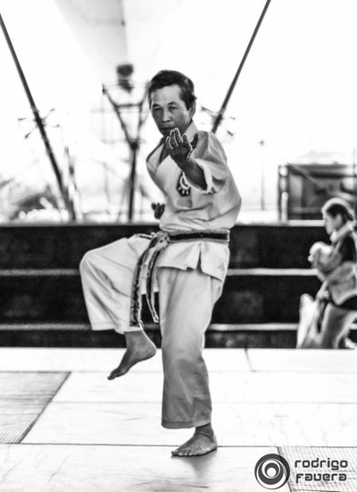 kenjutsu